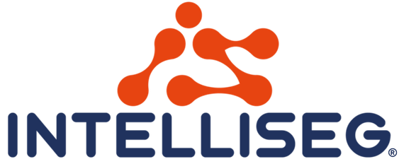 Logo Intelliseg